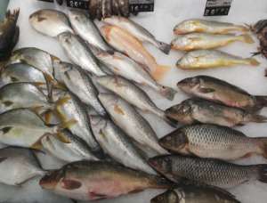鳜鱼和桂鱼的区别(菜市场公认的“金牌”淡水鱼，价格便宜营养高，就连钟南山都喜欢)